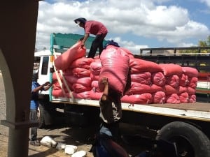 After visiting the cooperative we drive toward Managua to visit the Soprexxa coffee beneficio. Here coffee from farms across Nicaragua big and small are delivered and unloaded for production. Men throw the huge sacks of beans (150 lbs) on to a huge pile.