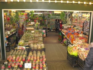 Touring the flower market in Amsterdam. Woman in back had a flower in her hair, but no plans to go to San Fransisco.