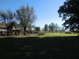Visiting the ranch