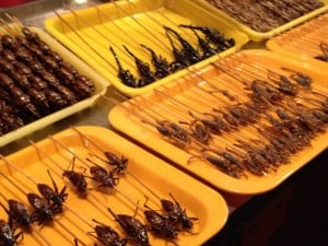 Beijing Night Market, Beijing - We topped off the night with the Night market. Scorpion anyone? Maybe a squishy silk worm, or a giant spider? Yuck!