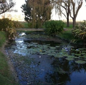 "El Ombu de Areco" - calm and relaxing.