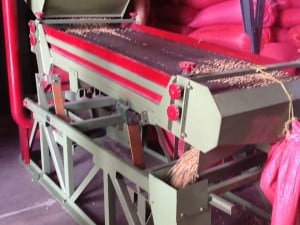 Inside the mill the protective husks are removed from the beans.  