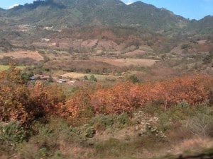 Just left airport in Managua heading for Finca Java! It is the end of the dry season in Nica so the scenery is spotted with golden brown grass and rough green shrubs.