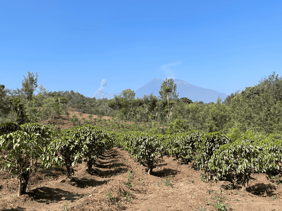 La granja de Don Miguel con actividad volcánica benigna en la distancia.