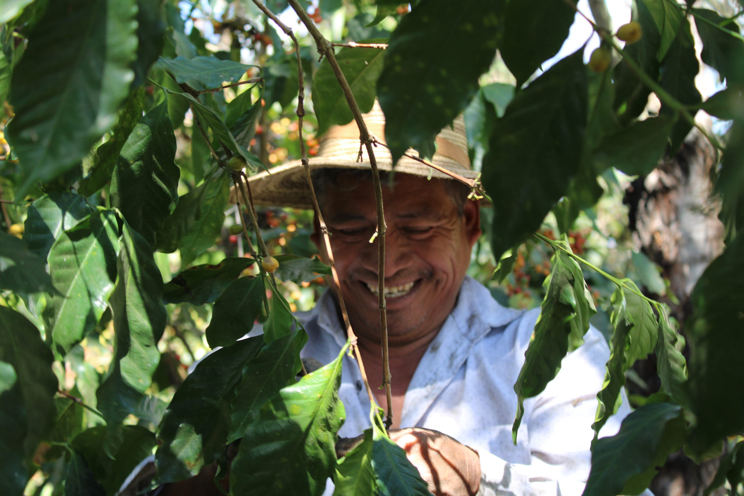 Stephannie Gallardo Coffee Trip in Guatemala