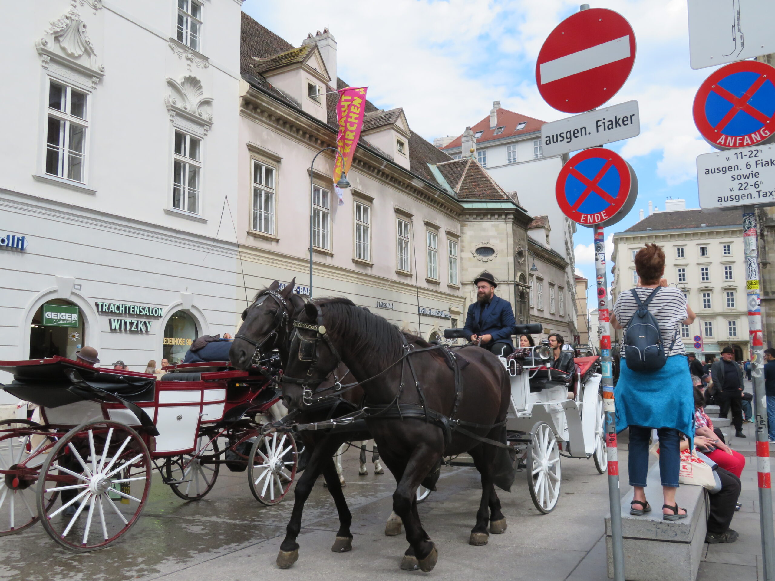 Emily Donoghue 27BBA 27MAcc Vienna Maymester